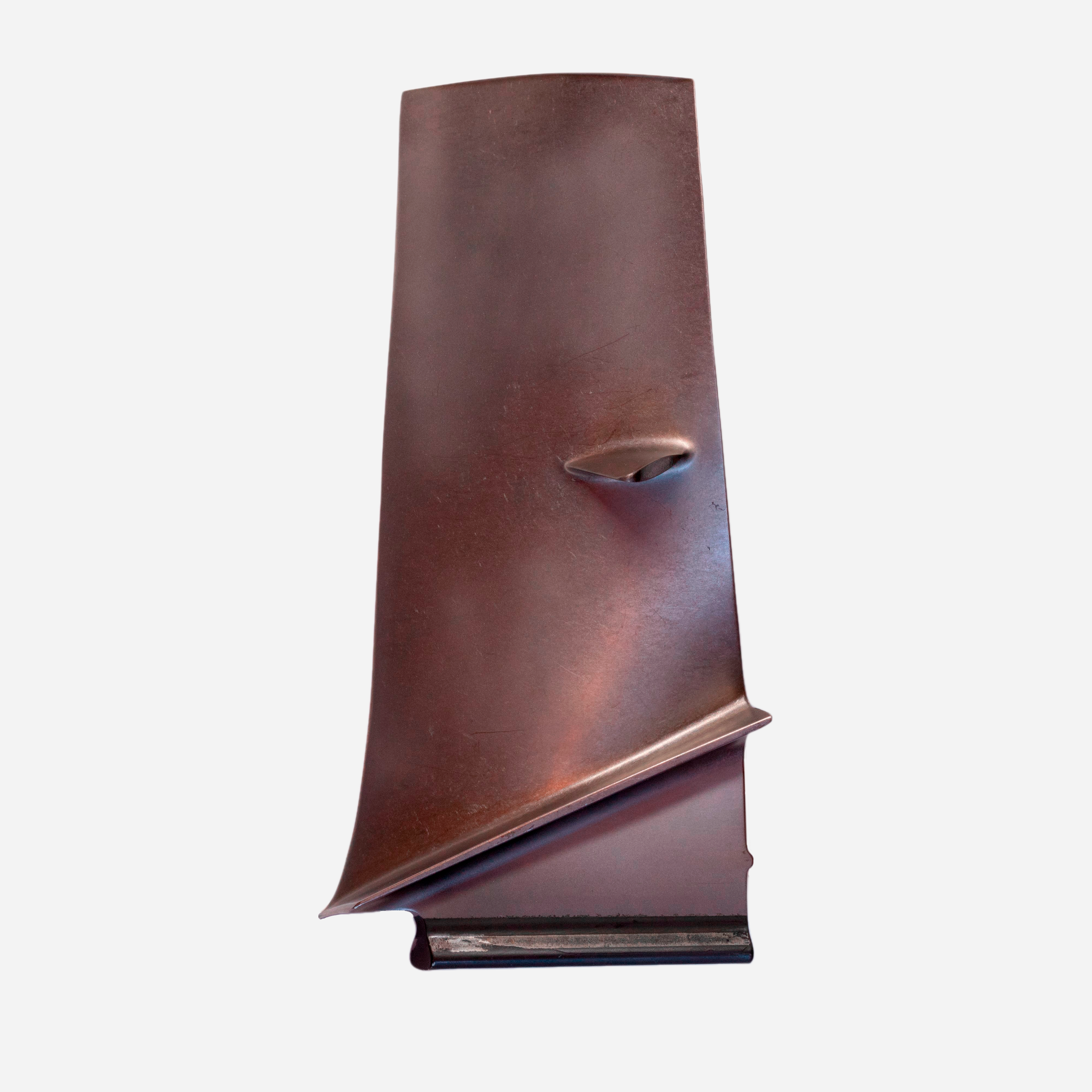 First-stage fan engine blade of the F-18 Hornet