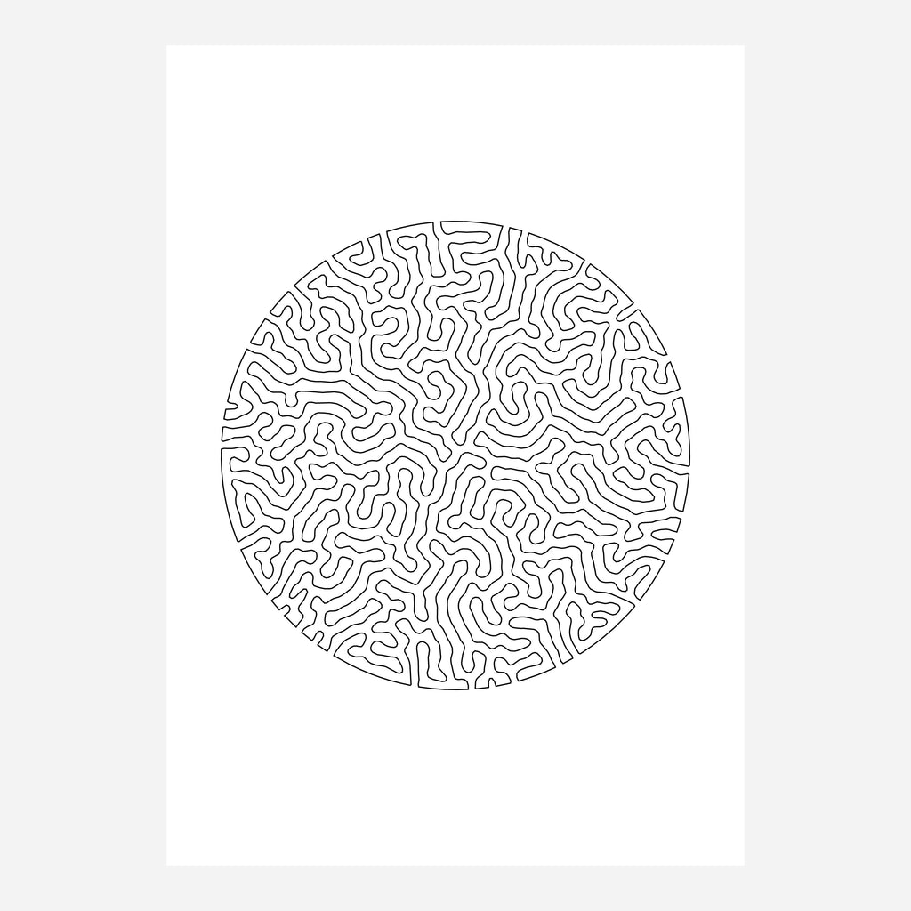 Coral